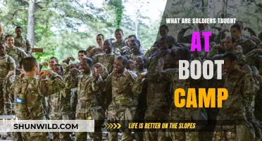 Boot Camp Basics: Essential Skills Soldiers Learn in Military Training