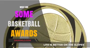 Prestigious Basketball Awards You Should Know