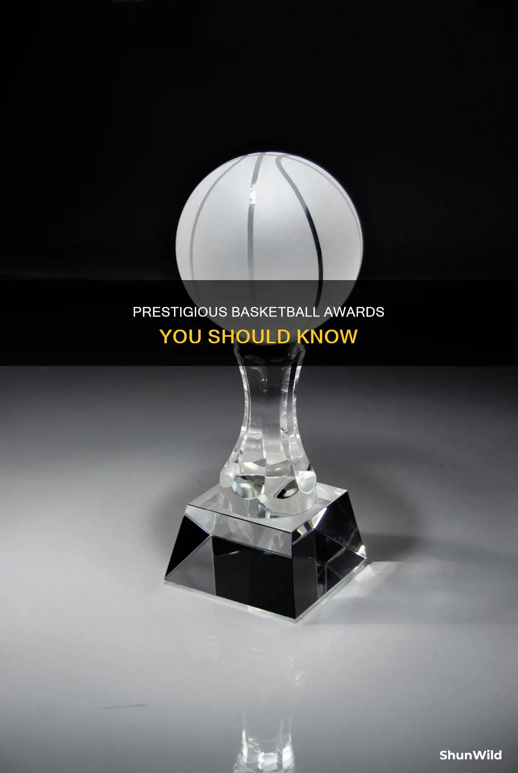 what are some basketball awards