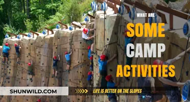 Exciting Camp Activities to Spark Adventure and Team Spirit