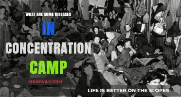 Unveiling the Devastating Diseases That Plagued Concentration Camp Inmates