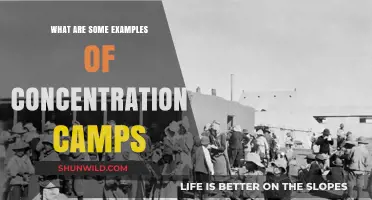 Exploring Dark History: Examples of Concentration Camps Worldwide