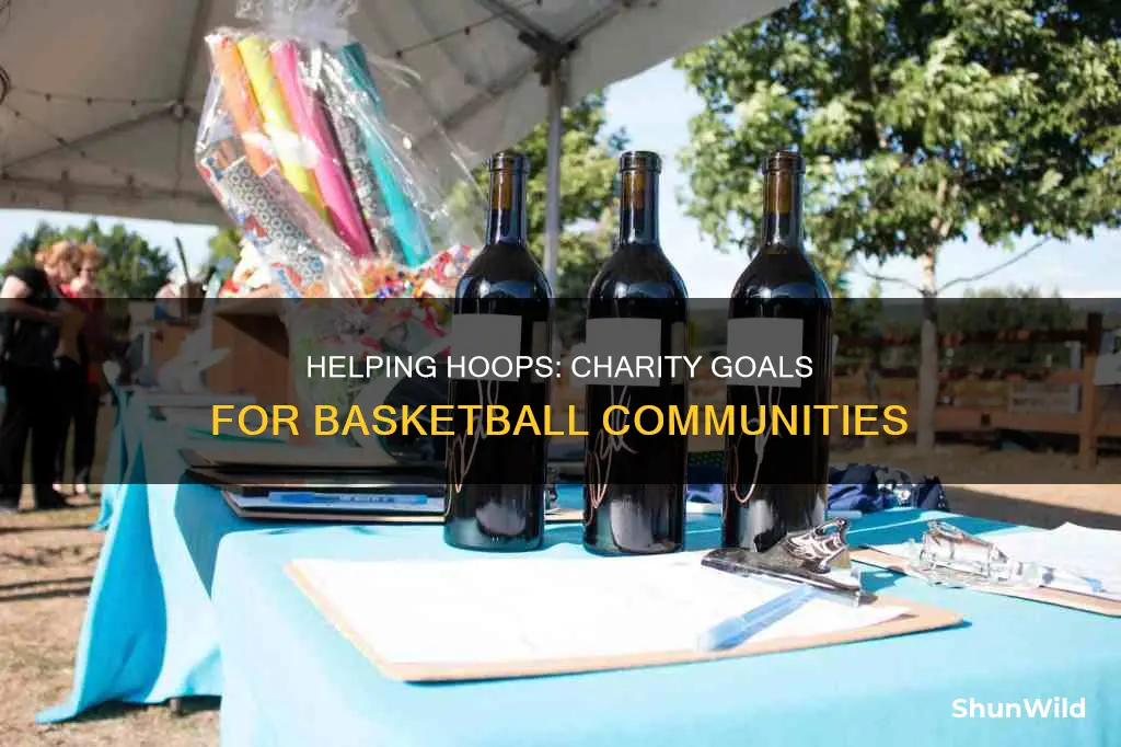 what are some goals for a basketball charity