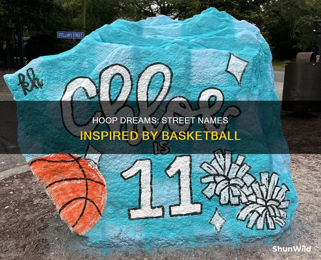 what are some street names that are basketball related