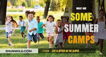 Exciting Summer Camps for Kids: Adventure, Learning, and Fun Await!