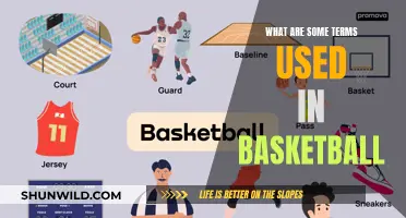 Basketball Jargon: Decoding the Court's Unique Language