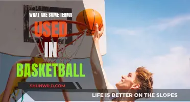 Basketball Lingo: Understanding the Game's Unique Vocabulary