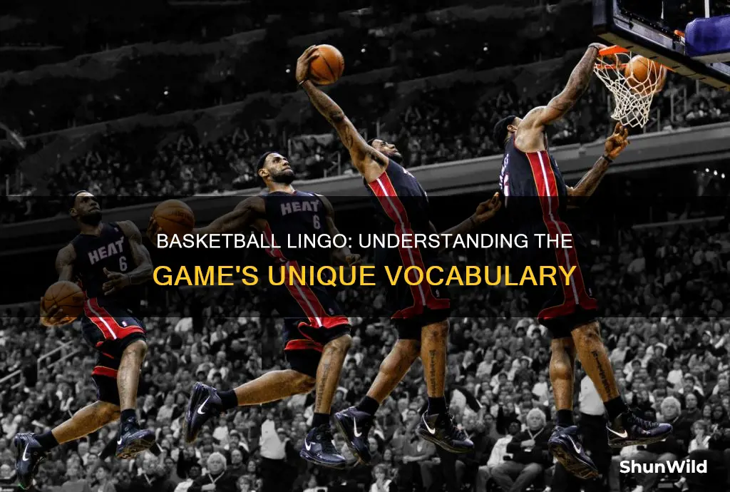 what are some terms used in basketball