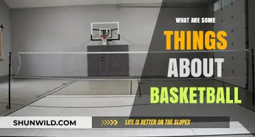 Basketball Insights: Strategies, Techniques, and Fun Facts
