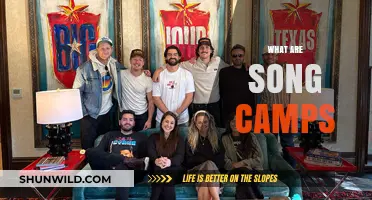 Unveiling Song Camps: Collaborative Music Creation and Industry Networking