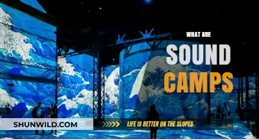 Exploring Sound Camps: Immersive Audio Experiences and Community Gatherings