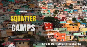 Understanding Squatter Camps: Origins, Challenges, and Community Resilience Explained