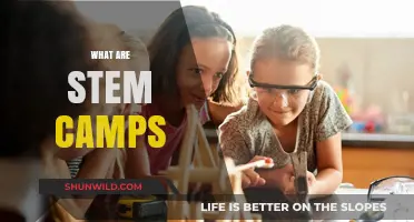Exploring STEM Camps: Fun, Learning, and Innovation for Kids