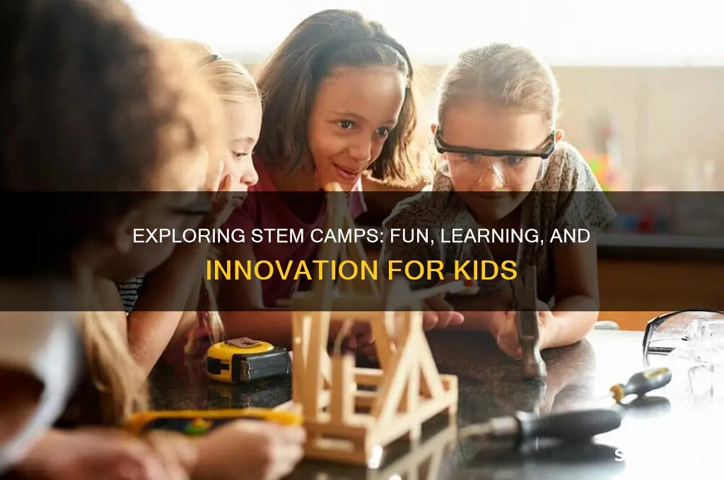 what are stem camps