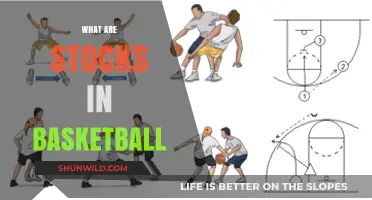 Understanding Basketball Stocks: Strategies for Success