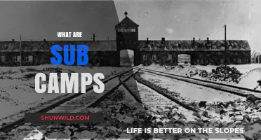 Understanding Sub Camps: Their Role, Purpose, and Historical Significance