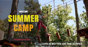 Exploring Summer Camps: Fun, Learning, and Adventure for Kids