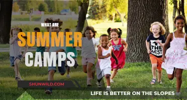 Exploring Summer Camps: Fun, Learning, and Adventure for Kids