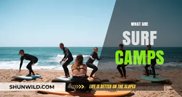 Discover Surf Camps: Your Ultimate Guide to Riding Waves and Relaxation