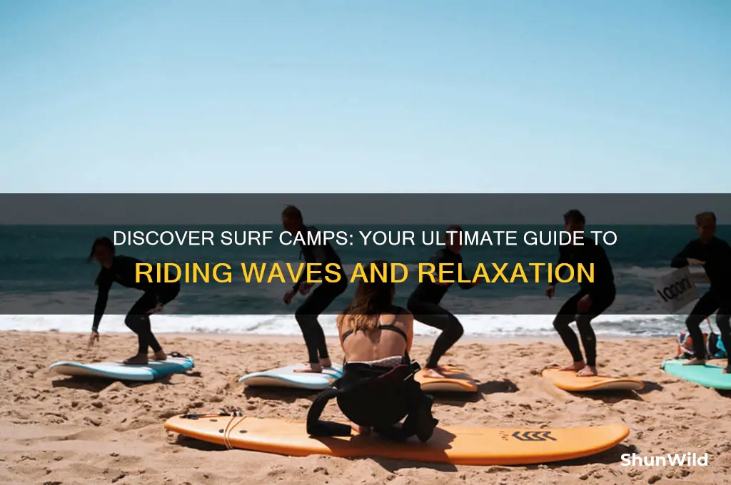 what are surf camps