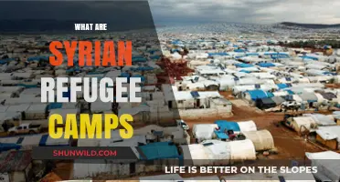 Understanding Syrian Refugee Camps: Life, Challenges, and Global Impact