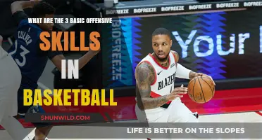 Mastering the Art of Basketball: Offense Fundamentals