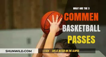 Mastering the Basics: Common Basketball Passes