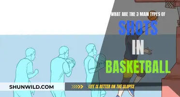 Mastering the Court: The 3 Essential Types of Basketball Shots