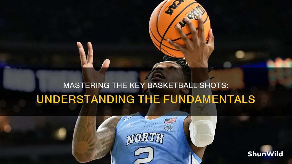 what are the 3 main types of shots in basketball