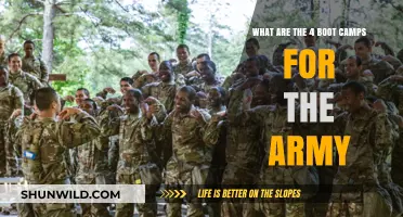 Discover the Army's 4 Intensive Boot Camp Programs for Recruits