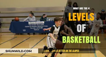 Understanding Basketball's Competitive Hierarchy: Four Levels Explained