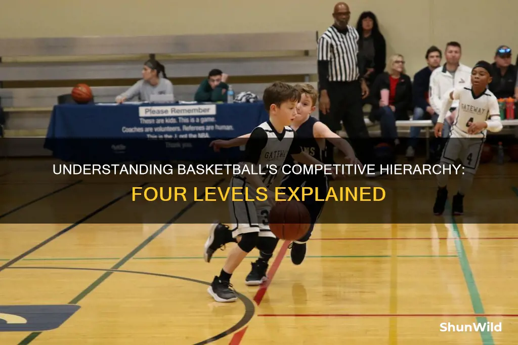what are the 4 levels of basketball