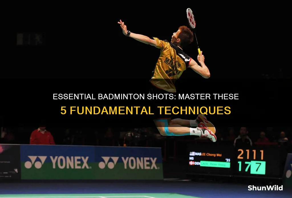 what are the 5 basic types of shots in badminton