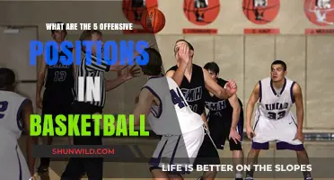 Understanding Basketball: Offensive Positions Explained