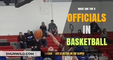 Basketball Officials: 5 Key Roles Explained
