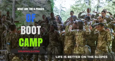 Unveiling the 5 Essential Phases of Boot Camp Training