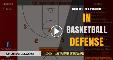 Defenders' Roles: Understanding Basketball Defense