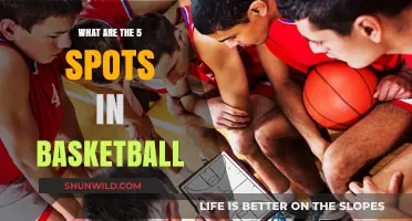 Understanding Basketball: The 5 Key Spots on the Court
