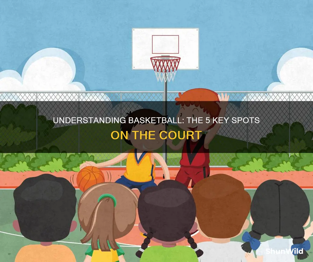 what are the 5 spots in basketball
