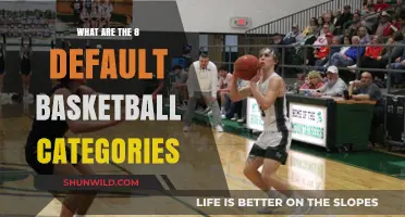 Basketball's Core Categories: 8 Essential Elements of the Game