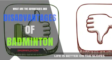 Badminton: Pros and Cons of Playing It