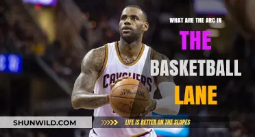 The Arcs of Basketball Lane: A Guide
