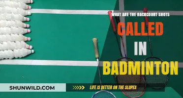 Backcourt Shots in Badminton: What Are They Called?