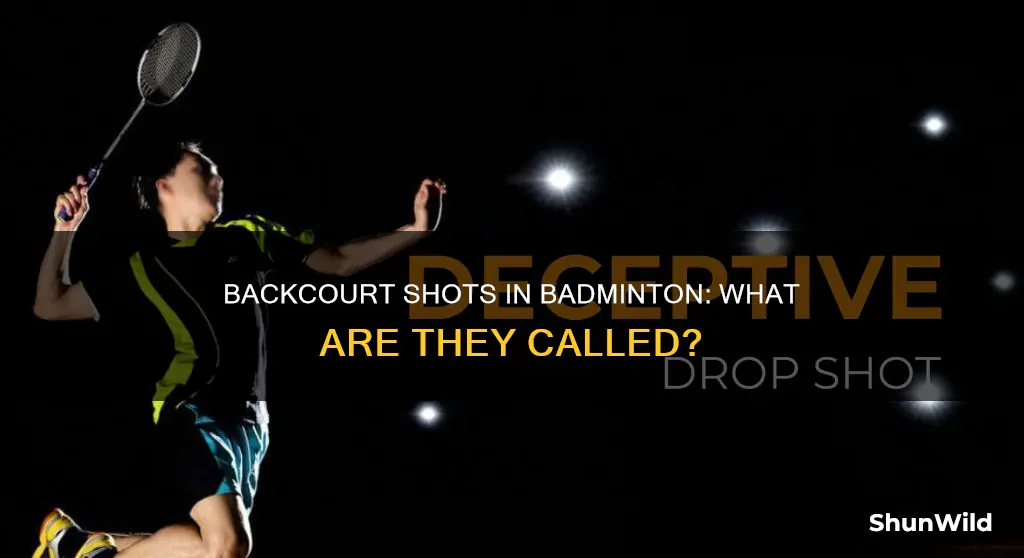 what are the backcourt shots called in badminton