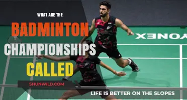 Badminton's Grand Slam: The Championships Unveiled