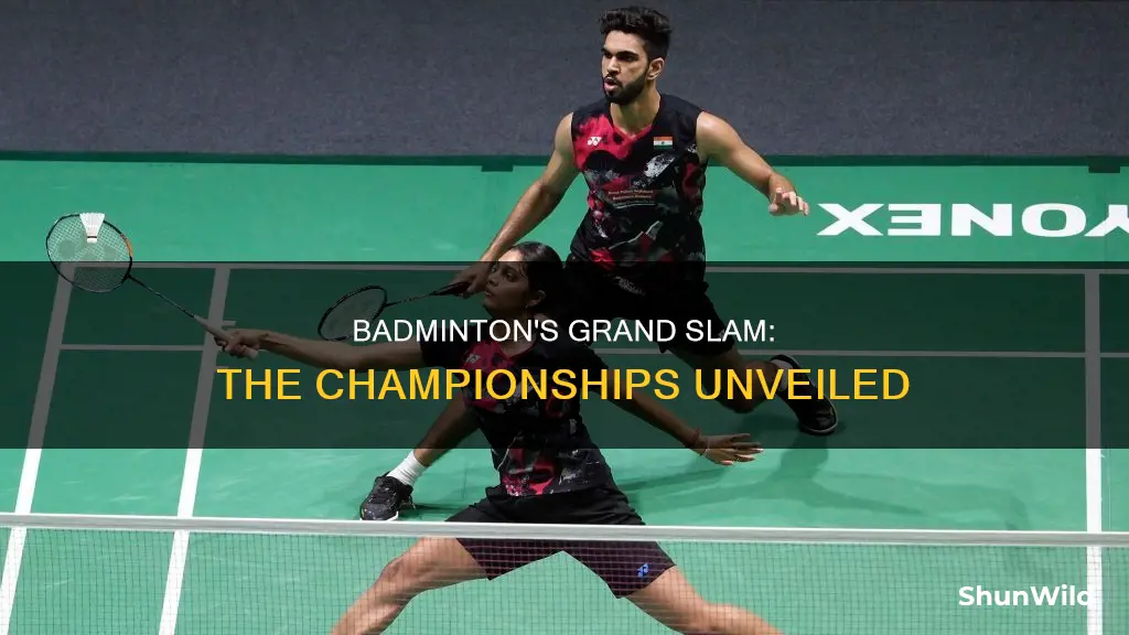 what are the badminton championships called