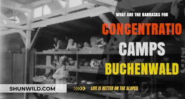 Buchenwald Concentration Camp Barracks: Structure, Purpose, and Historical Significance