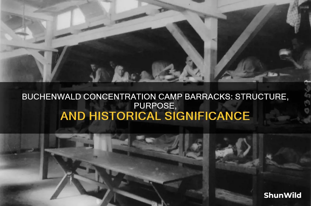 what are the barracks for concentration camps buchenwald