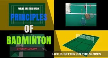 Badminton Basics: Principles for Success