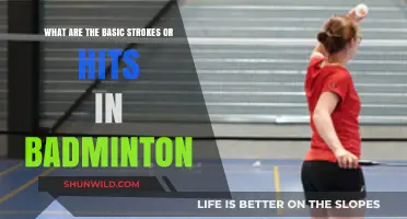 Badminton Basics: Mastering Strokes and Hits